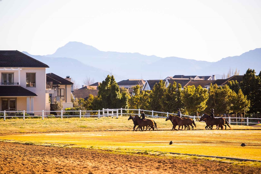 0 Bedroom Property for Sale in Val De Vie Estate Western Cape